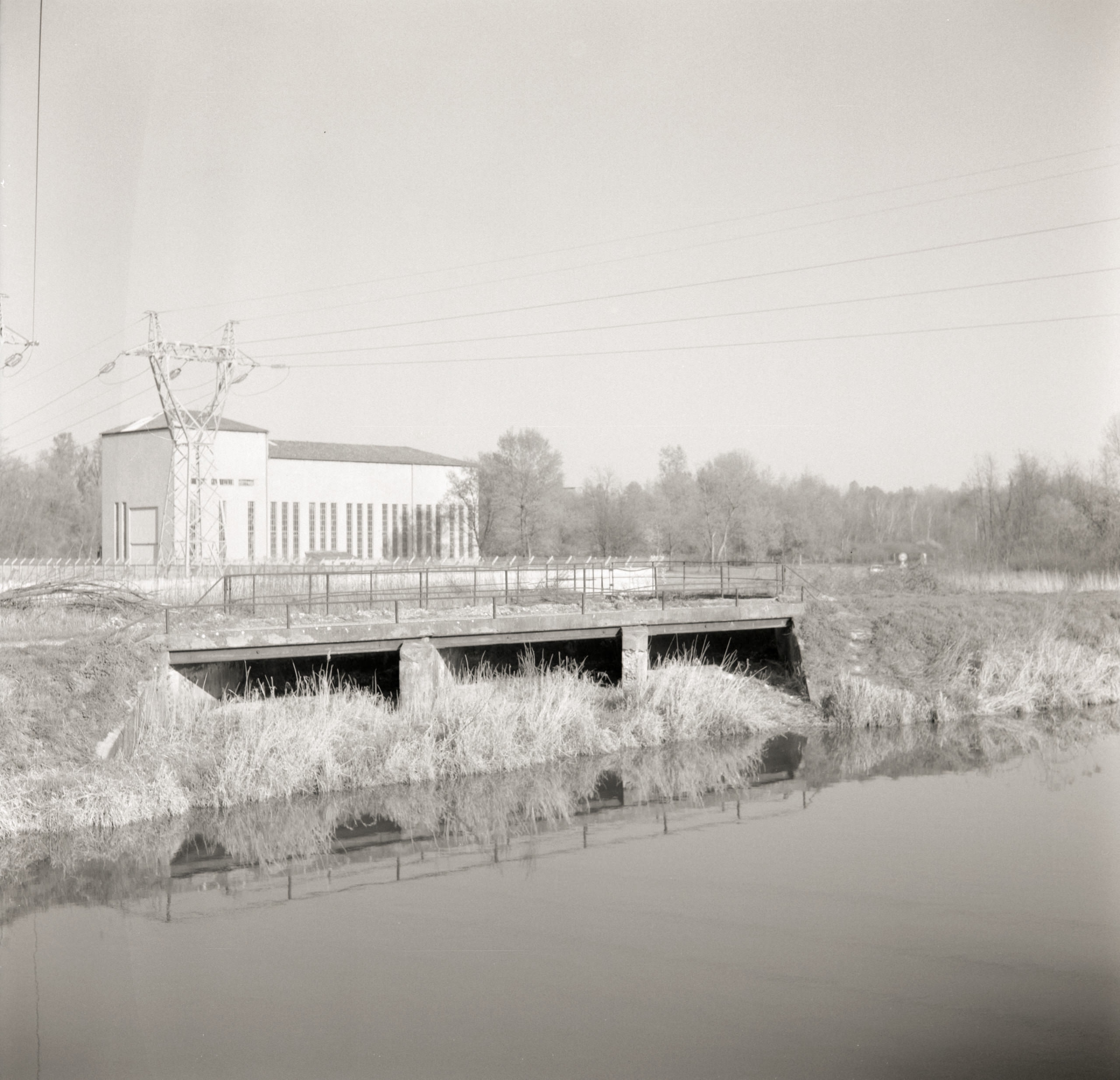 AHP FilmScan 240808 0973